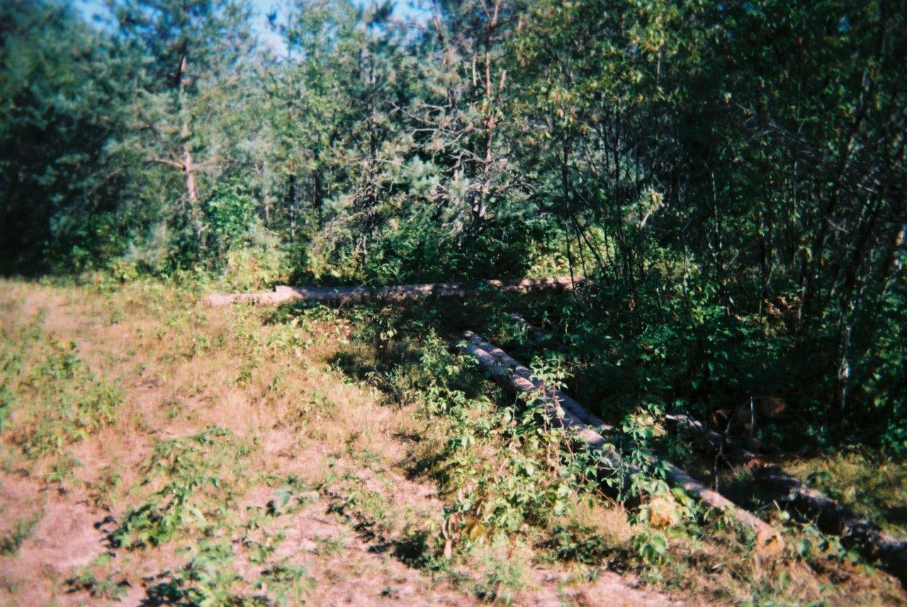 Pathway to Cabin