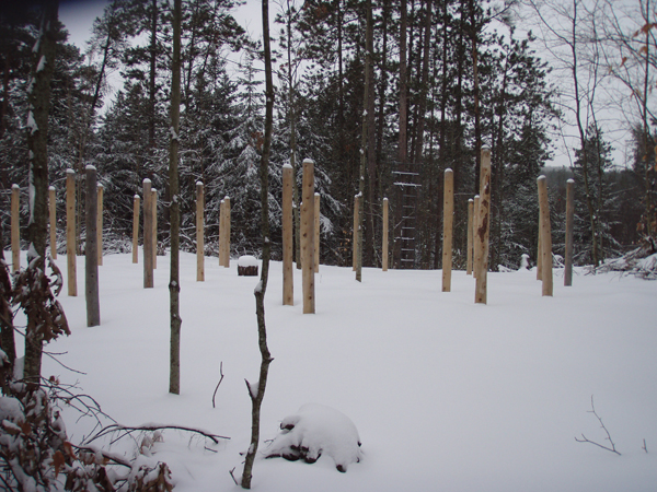 Forest Woodhenge - Groundhog Day