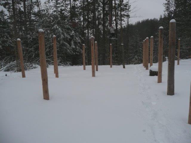 Forest Woodhenge - Groundhog Day 3