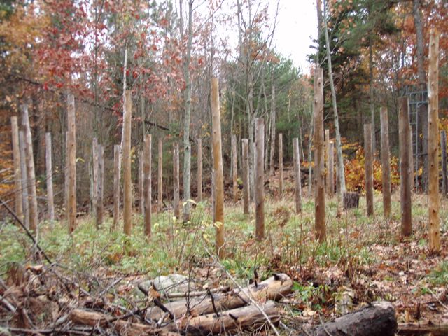 Forest Woodhenge - Scorpio - Western Rim