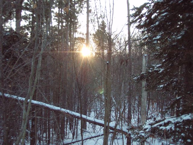 Forest Woodhenge - Winter Solstice - Sunset