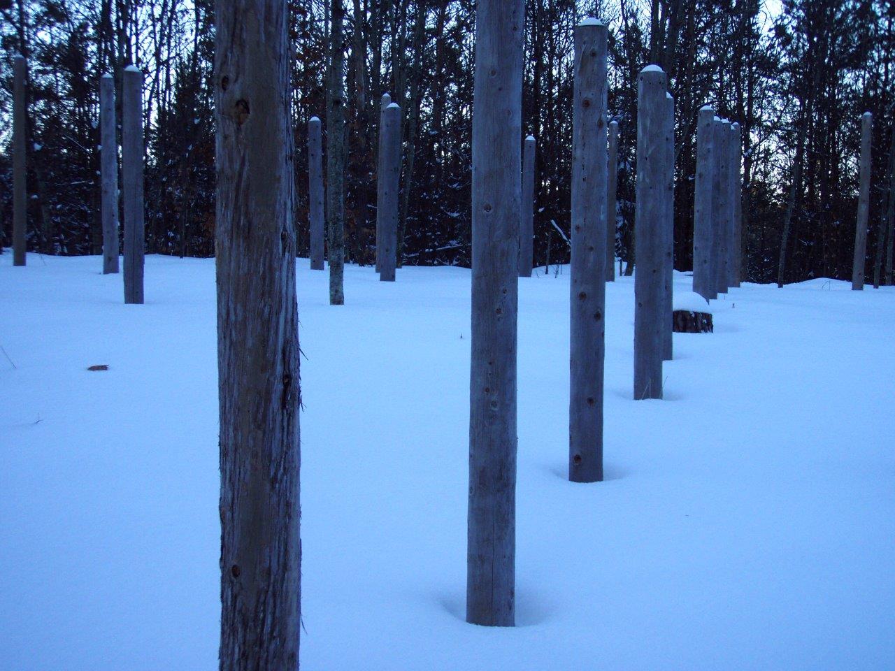 Forest Woodhenge - Winter Solstice - N/S Axis