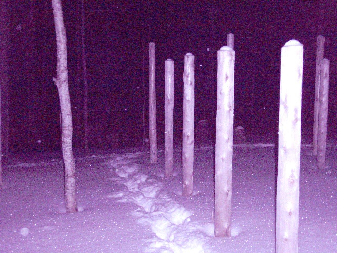 Forest Woodhenge - Solstice Meditation