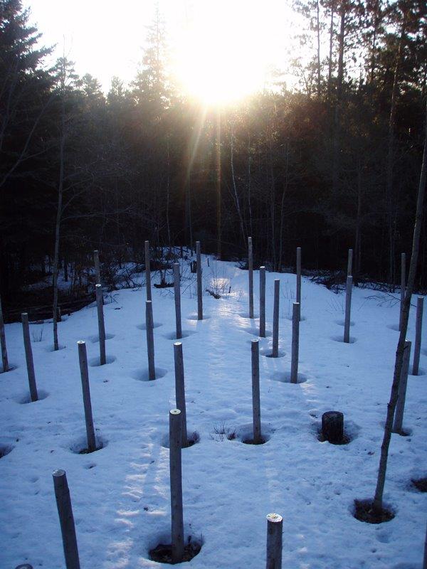 Forest Woodhenge - Spring Equinox - Sunrise - east view