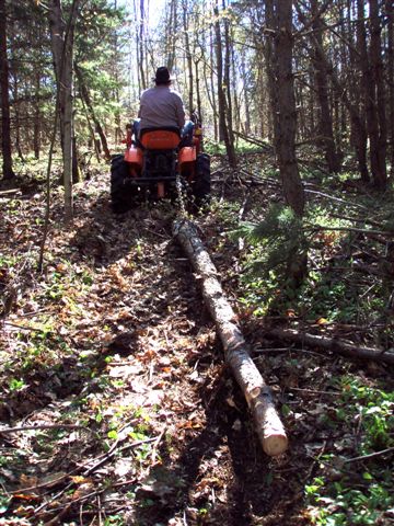 Cutting and Haulin' Trees! (2)