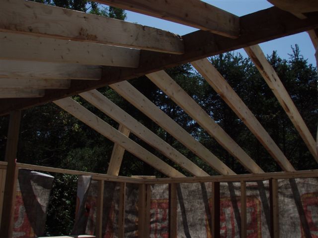 Cabin -Building the Roof (12)