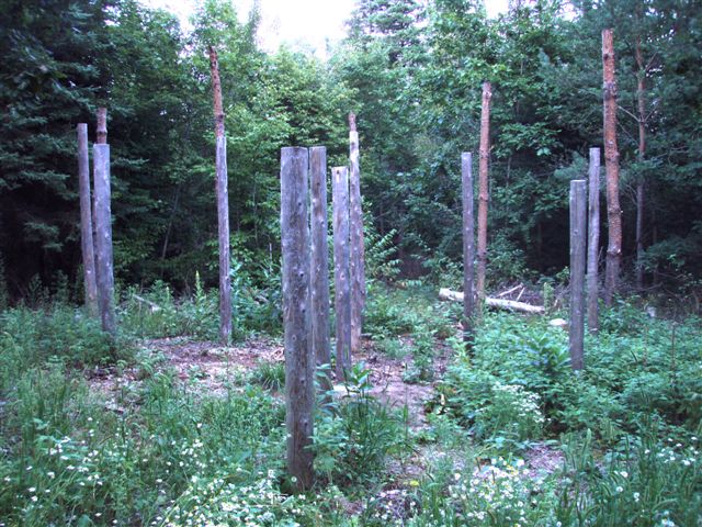 Forest Woodhenge East View