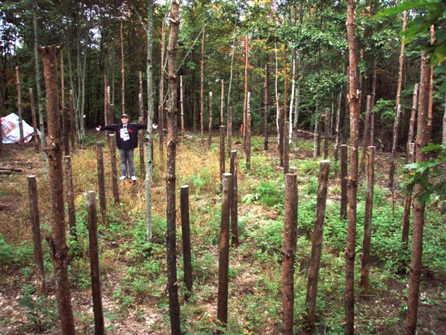 Forest Woodhenge Complete (2) Jesse Footit 