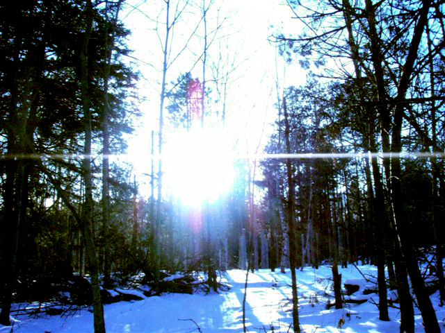 Forest Woodhenge Winter Solstice - Sunset!