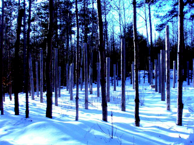 Forest Woodhenge Winter Solstice - Sunset!!!