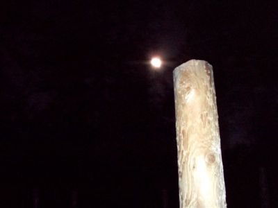 Night Time at the Woodhenge with Moon
