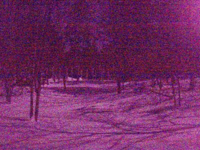 Forest Woodhenge - Winter Solstice night