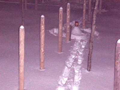 Forest Woodhenge - Winter Solstice night - Silent Night!