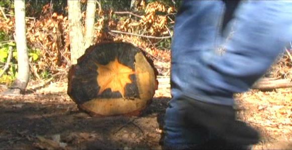 Woodhenge Ceremony - Passing the Star Stump!