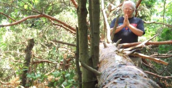Woodhenge Ceremony - Prayer to the Fallen Pine