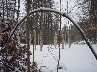 Forest Woodhenge - The Tree Arch