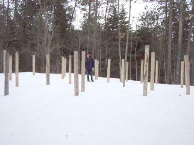 Forest Woodhenge - Grif at the centre