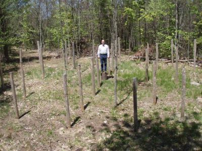 Forest Woodhenge - True Noon - Bill Frey