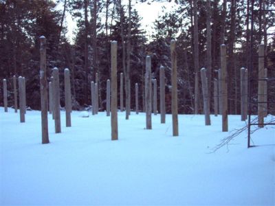 Forest Woodhenge - Winter Solstice