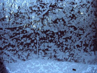 Forest Woodhenge - Frost on Cabin's Window
