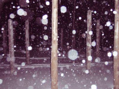 Forest Woodhenge - Winter Solstice - Midnight Meditation