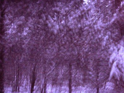 Forest Woodhenge - Winter Solstice - Midnight Meditation! (3)