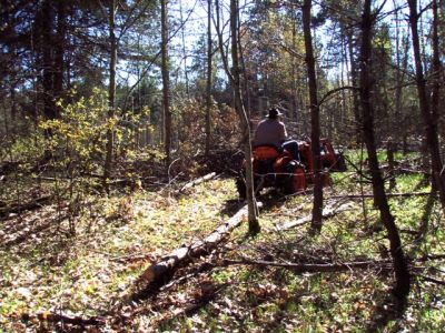 Cutting and Haulin' Trees! (3)