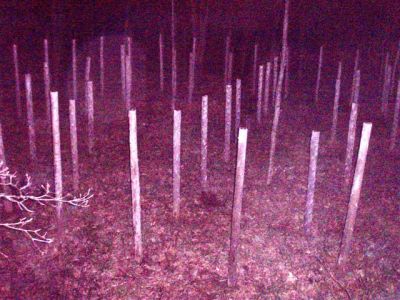 Woodhenge Full Moon at Midnight!