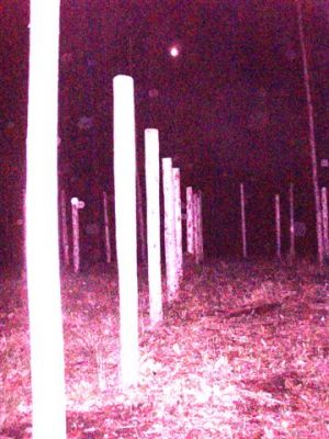 Woodhenge Full Moon at Midnight! (3)