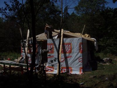 Cabin -Building the Roof (8)