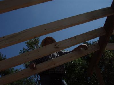 Cabin -Building the Roof (11)