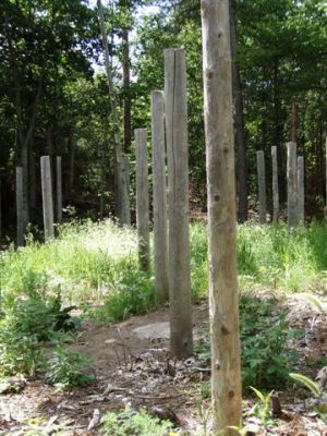 Forest Woodhenge - Midsummer (15)