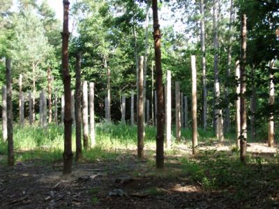 Forest Woodhenge - Midsummer (17)