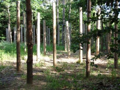Forest Woodhenge - Midsummer (19)