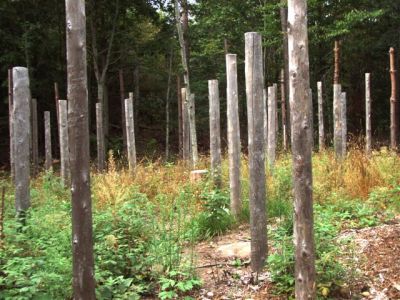 Forest Woodhenge Fall Equinox - Eastern Path