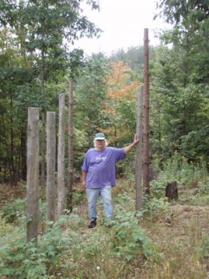 Forest Woodhenge Fall Equinox Robin Armstrong