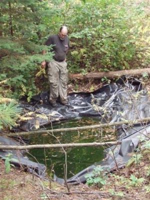 Forest Woodhenge Water Hole
