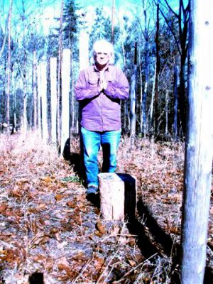 Forest Woodhenge - MidFall-True Noon - Robin