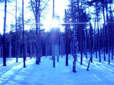 Forest Woodhenge - Winter Solstice Sun is Low!
